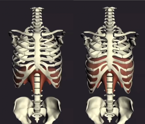 Image Séance de Coordination Respiratoire